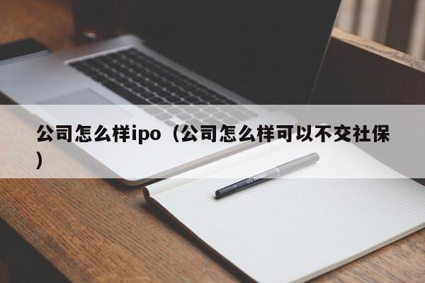 公司怎么样ipo（公司怎么样可以不交社保）